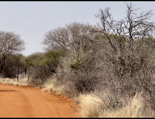 FARM FOR SALE IN SENTRUM